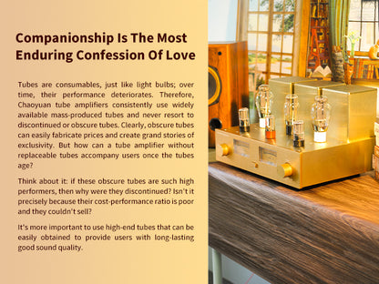 ChoYong 300B power amplifier tube amplifier