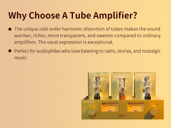 ChoYong 300B power amplifier tube amplifier