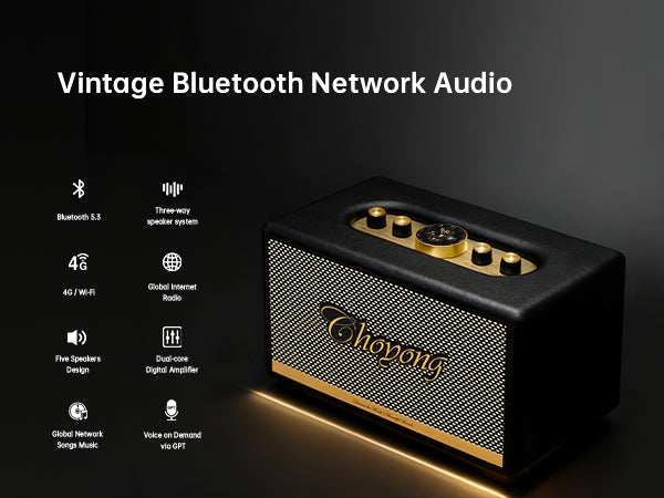 CHOYONG Maestro C2 WiFi Speaker Wireless Bluetooth Smart Speaker,Three-Way Speaker System,Internet Radio Global Station,Record Player Compatible with RCA Input