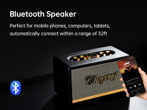 CHOYONG Maestro C2 WiFi Speaker Wireless Bluetooth Smart Speaker,Three-Way Speaker System,Internet Radio Global Station,Record Player Compatible with RCA Input