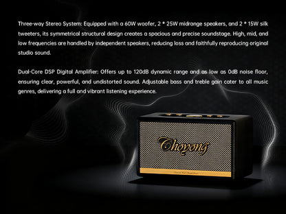 CHOYONG Maestro C2 WiFi Speaker Wireless Bluetooth Smart Speaker,Three-Way Speaker System,Internet Radio Global Station,Record Player Compatible with RCA Input