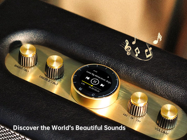 CHOYONG Maestro C2 WiFi Speaker Wireless Bluetooth Smart Speaker,Three-Way Speaker System,Internet Radio Global Station,Record Player Compatible with RCA Input