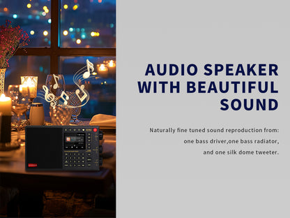 CHOYONG LC90 Multi-Band Smart Internet Radio