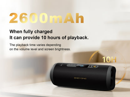 CHOYONG F15 Speaker