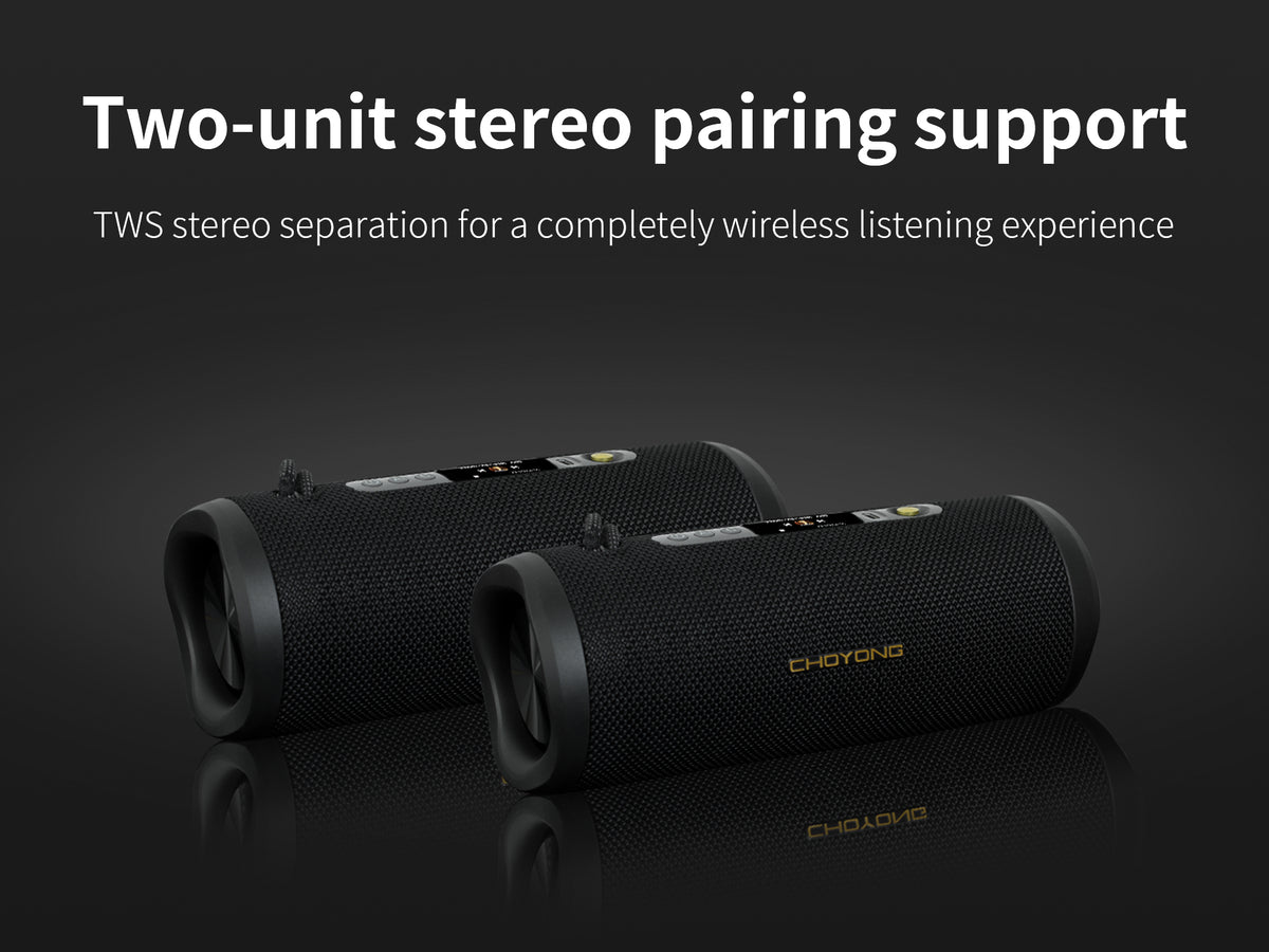 CHOYONG F15 Speaker