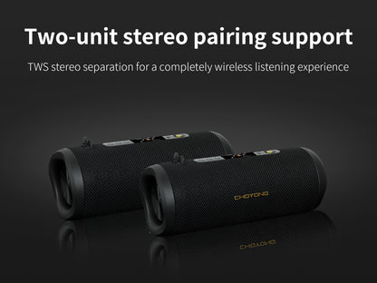 CHOYONG F15 Speaker