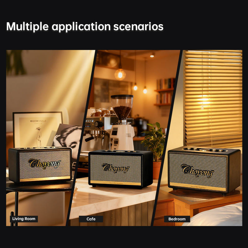 CHOYONG Maestro C2 WiFi Speaker