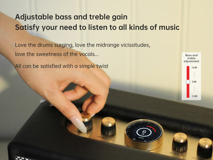 CHOYONG Maestro C2 WiFi Speaker