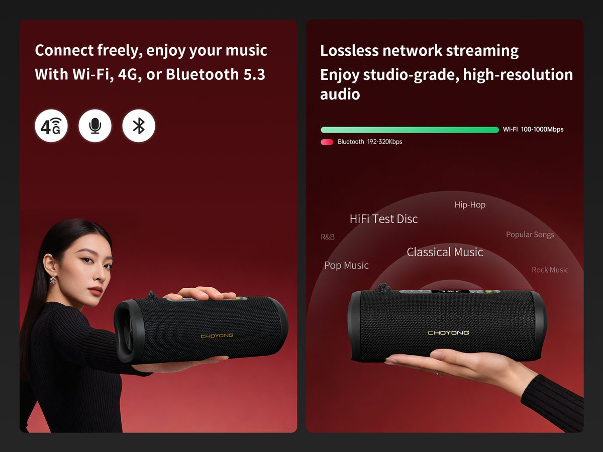 CHOYONG F15 Speaker