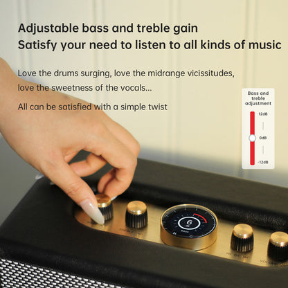 CHOYONG Maestro C2 WiFi Speaker