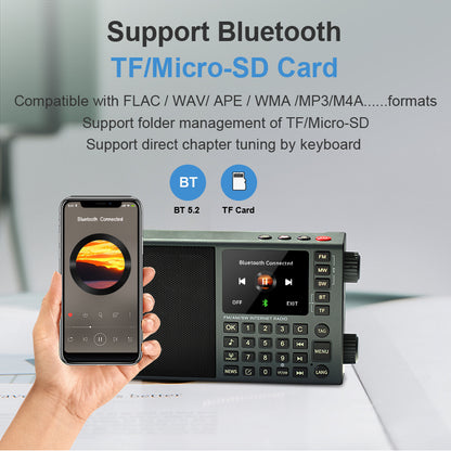 CHOYONG LC90 Mini Multi-Band Smart Internet Radio