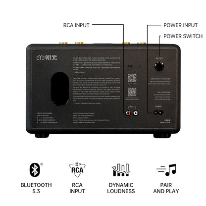 CHOYONG Maestro C2 WiFi Speaker
