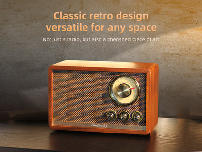 CHOYONG R1 Walnut Solid Wood Bluetooth Speaker