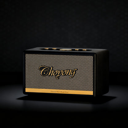 CHOYONG Maestro C2 WiFi Speaker Wireless Bluetooth Smart Speaker,Three-Way Speaker System,Internet Radio Global Station,Record Player Compatible with RCA Input