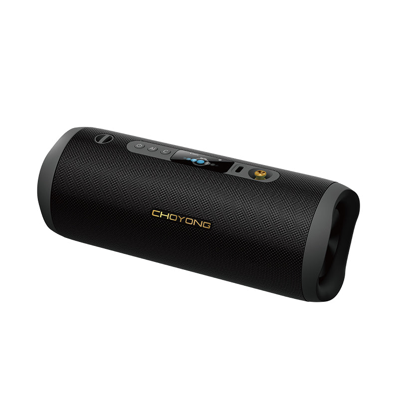 CHOYONG F15 Speaker