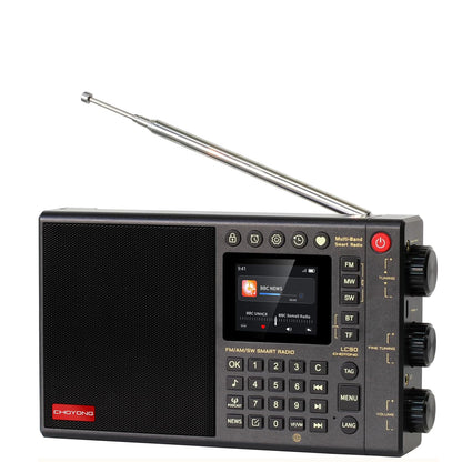 ChoYong LC90 Multi-Band Smart Internet Radio（Versão global）